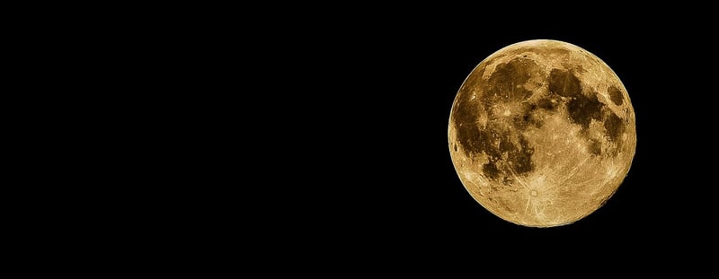 Moon Phase Wall Art