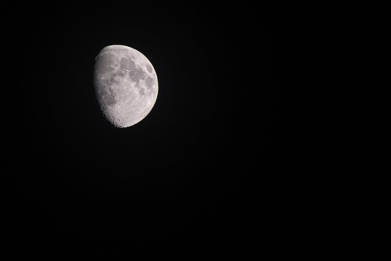 Moonlit Suit