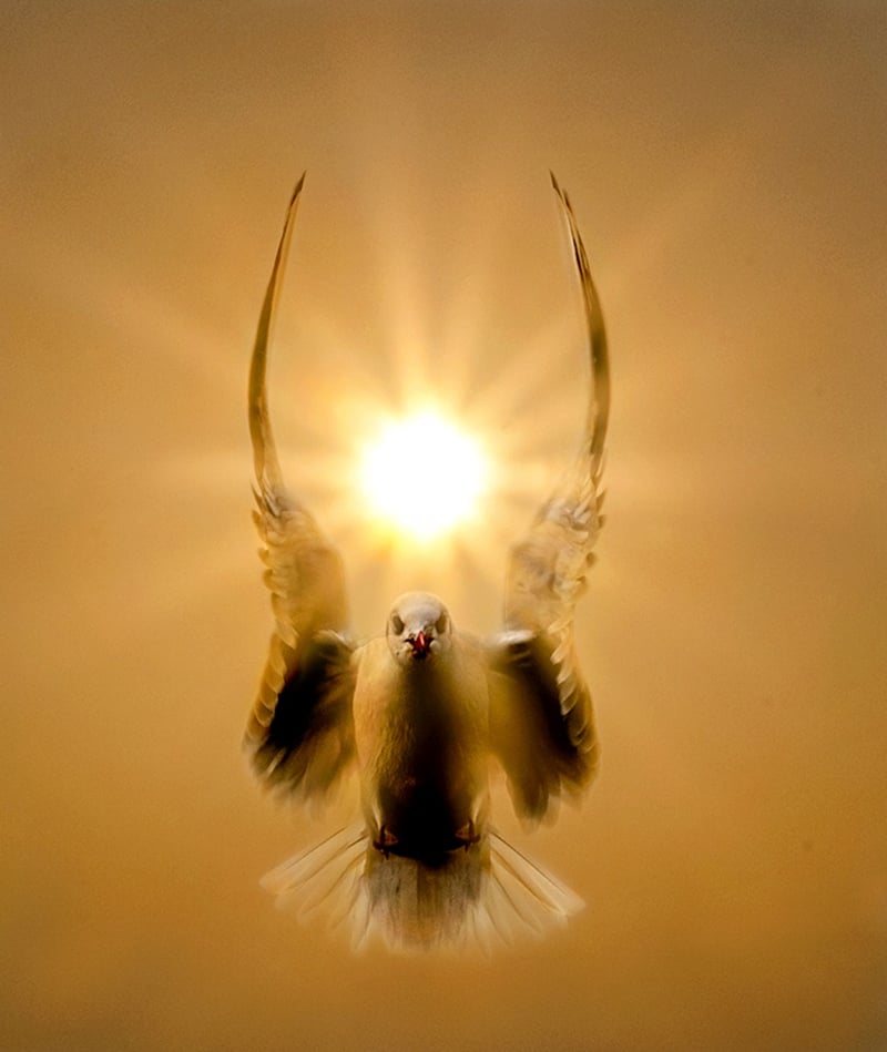 Sunburst Mirror